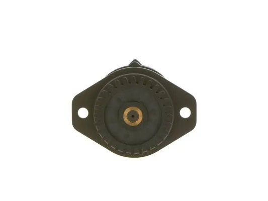 DİŞLİ POMPA 0440020035