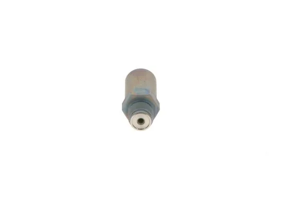 Bosch 1110010036 Basınç Tahliye Valfi