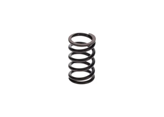 Bosch 1424618047 Basinç Yayi