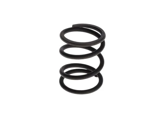 Bosch 1424619019 Basinç Yayi