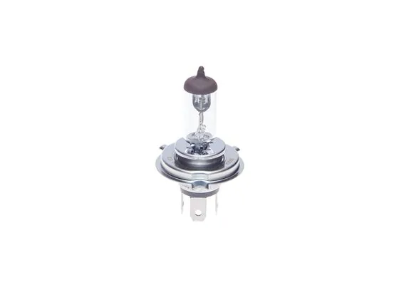 Eco H4 12V 90/100W Far Ampulü 1987302840