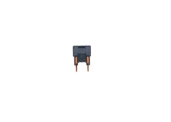 Bosch 1987529074 Sigorta Büyük Ayaklı Cargo 100 Amp