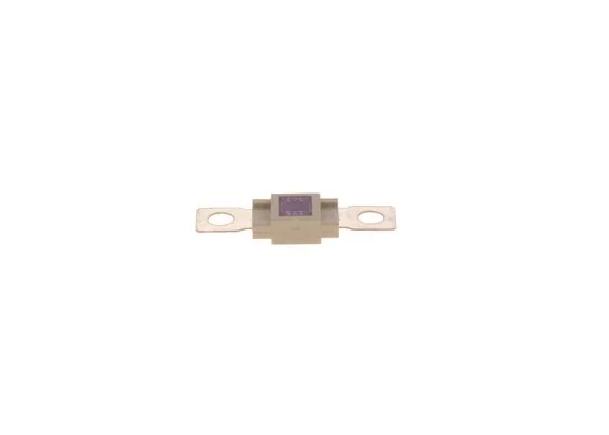 SİGORTA VİDALI MEGA 175 AMP 1987531003
