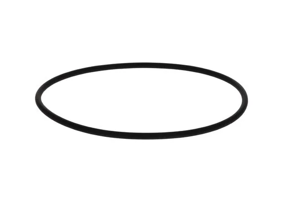 Bosch 2410210050 Flanş O-Ring Takım