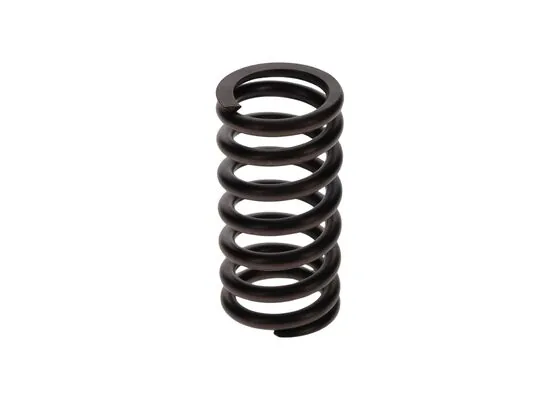 Bosch 2414619011 Basinç Yayi