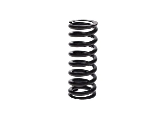 Bosch 2414619020 Basinç Yayi