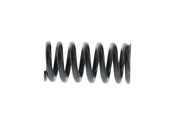 Bosch 2414619021 Basinç Yayi