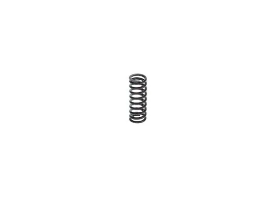 Bosch 2414619025 Basinç Yayi
