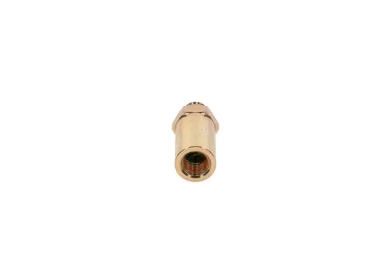 Bosch 2417413098 Tahliye Valfi