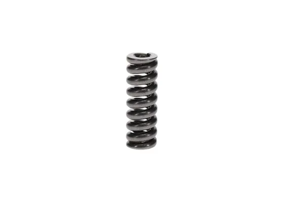 Bosch 2434619073 Basinç/Baski Yayi