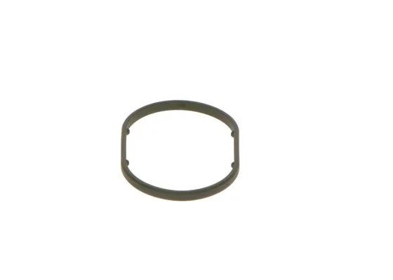Bosch 2440210049 O Ring