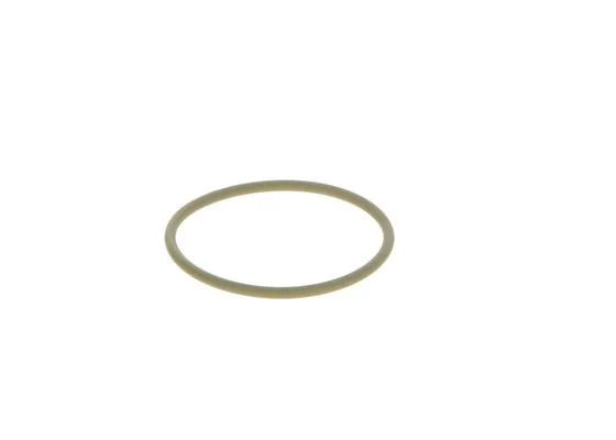 Bosch 2440210052 Oring MAN
