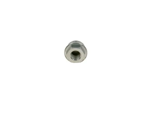 Bosch 2443461003 Dişli Burç(volvo)