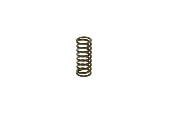 Bosch 2444618002 Basinç Yayi