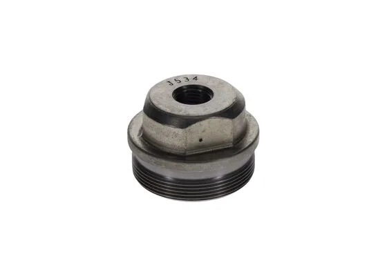 Bosch F002D12534 Vidalı Tapa