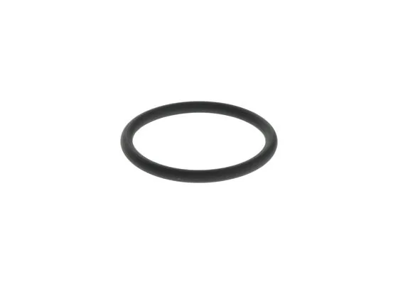 Pompa O-Ring Contası F00HN36345