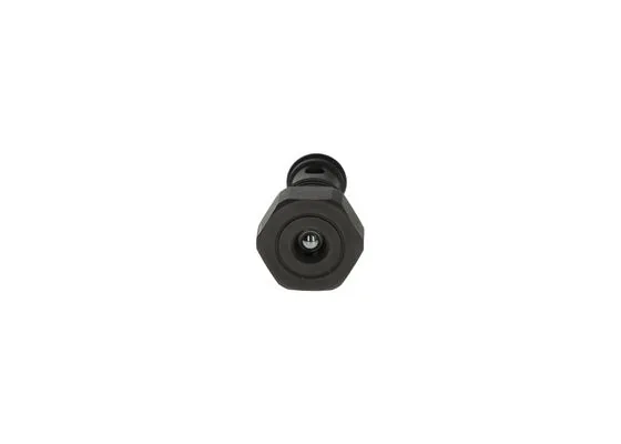 Bosch F00N201433 Tahliye Valfi