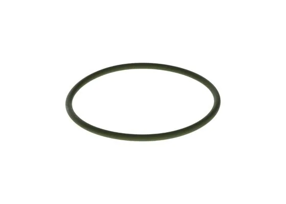 Bosch F00N201857 O-Ring
