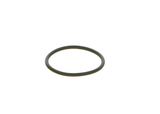 Bosch F00R0P0166 O-Ring