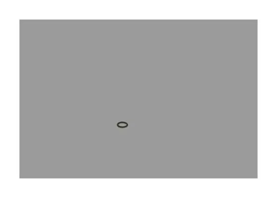 Bosch F00R0P0340 O Ring