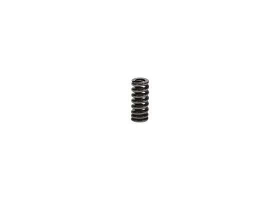 Bosch F00VC09305 Armatür Yayi
