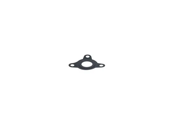 O-RİNG F01M100055