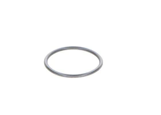 O-RİNG F01M100114