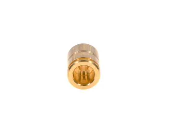 Bosch F01M100262 Rakor