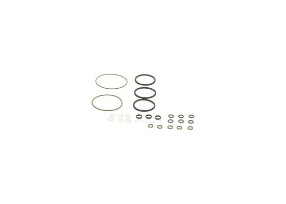Bosch F01M101455 Common Rail Tamir Takımı e. n: f 01m 100 276