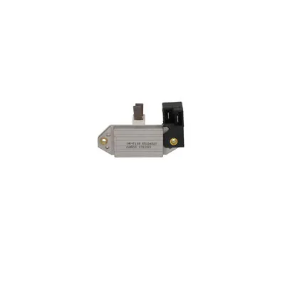 Alternatör Konjektörü (Şarj Regülatörü) 12 V F032131283