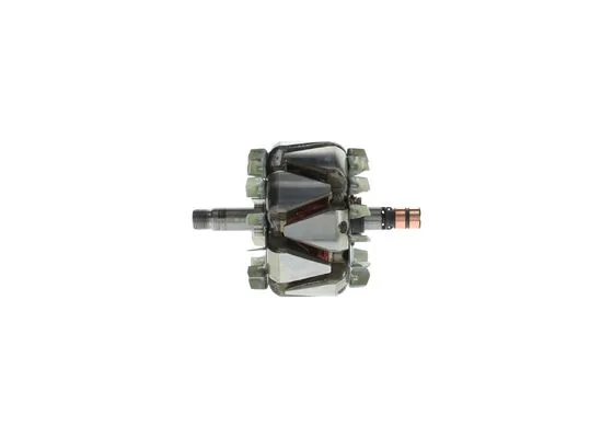 Alternatör Rotoru (Ref: F00M131658) F032238117